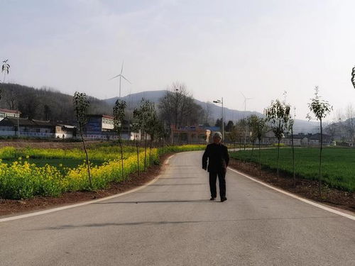 中原云裳牧場 魯山縣生態旅游新地標，點亮東部文旅新版圖